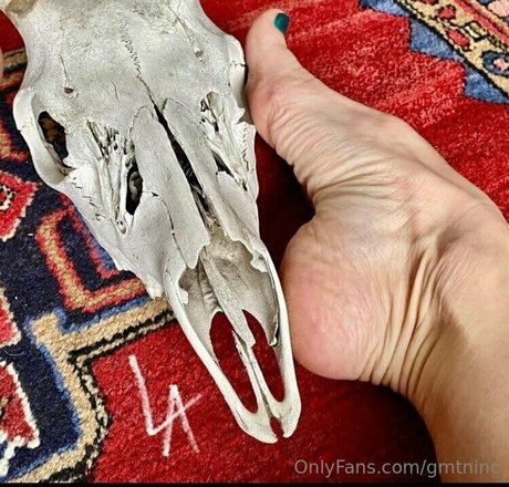 gmtninc star exclusive galleries