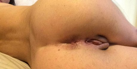 layla mayer beautiful pornstar picture