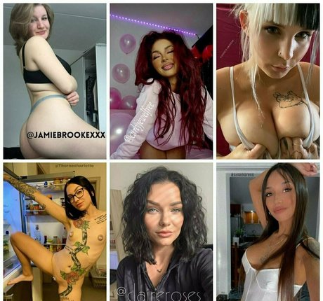 debrafox art star img