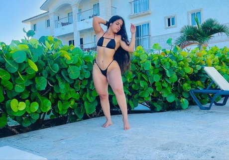 batista steph xxx star images