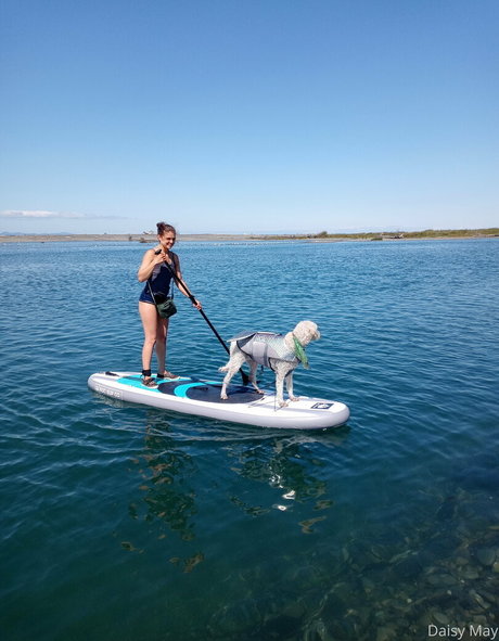 doitwithdaisy porn actress img