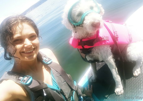 doitwithdaisy thumbnail