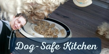 doitwithdaisy xxx pornstar img