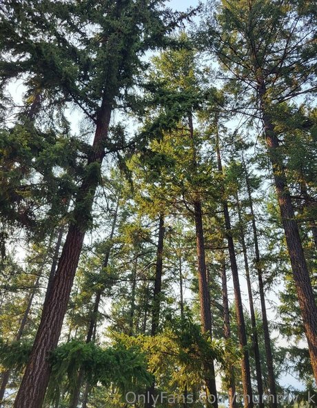 chubby goth onlyfans beautiful xxx img