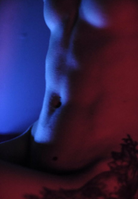 lilbird 777 pornstar art gallery