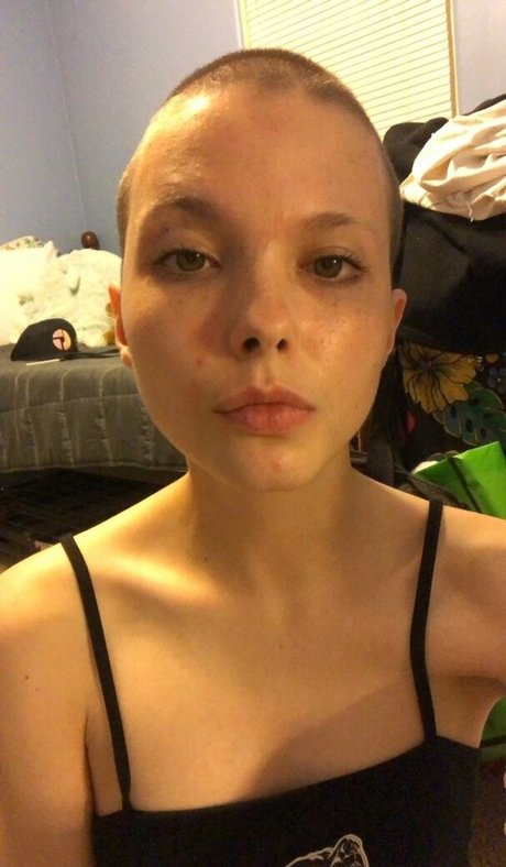 punksmutt beautiful star galleries