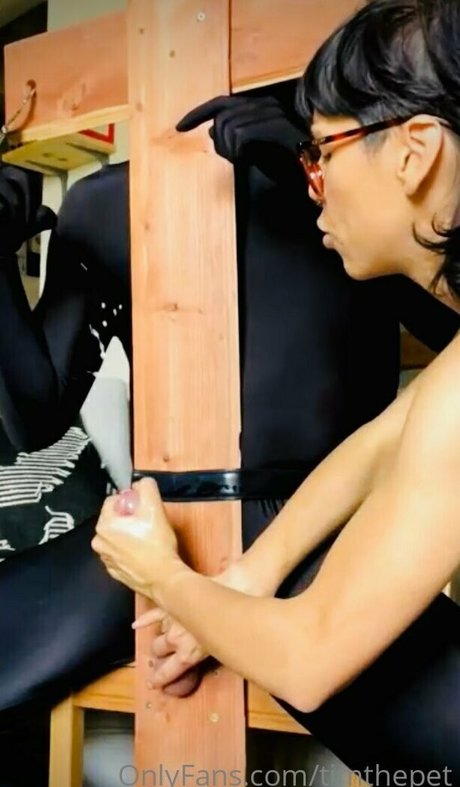 timthepet nudes actress galleries