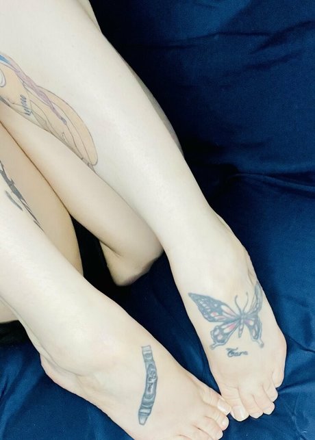 mikkistorm star free photo