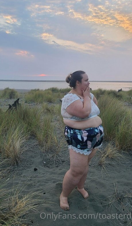 toasterd star pretty images