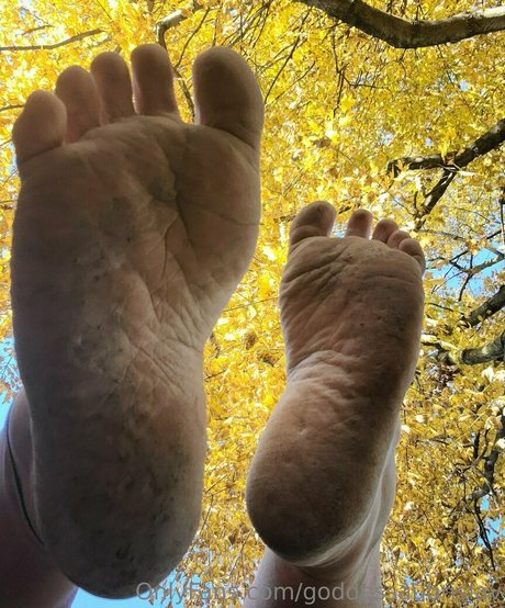 goddessaubrislav nudes pornstar archive