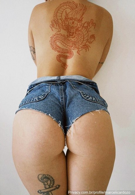 Marceli Cardozo porn star img