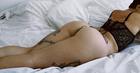 Marceli Cardozo star adult galleries