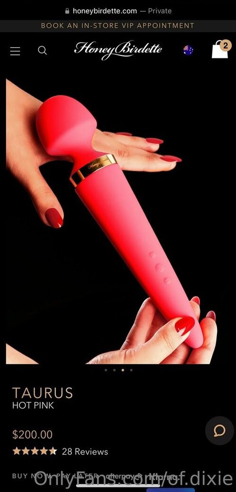 of dixie pornstar sex pic