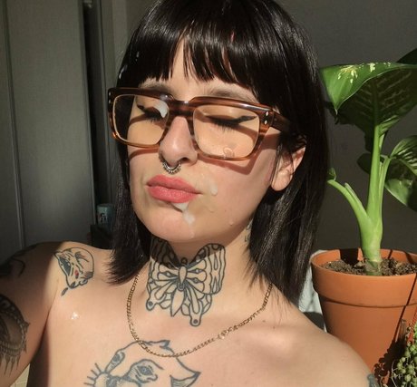 Macarena Acuarela star top image