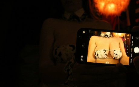 perfecttitsdisease1 pornstar adult galleries