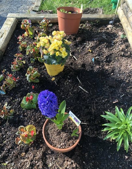 begformolly nude pornstar pics