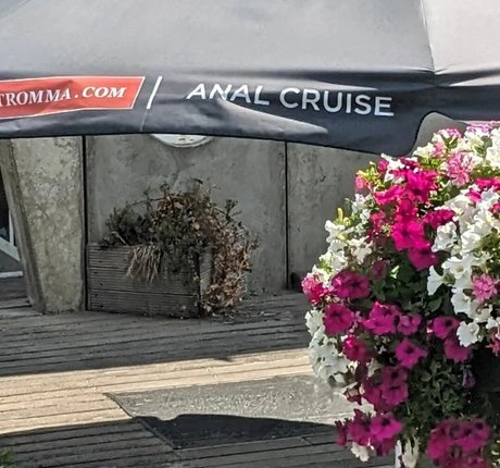 Jennifer London nudes star galleries