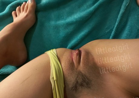 forangel star art gallery