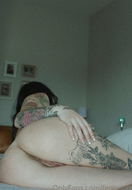 Fenix Sun star hd archive