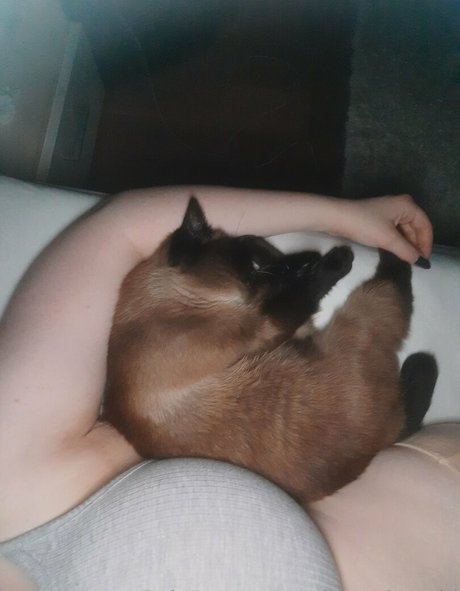 missmeismaid free model picture