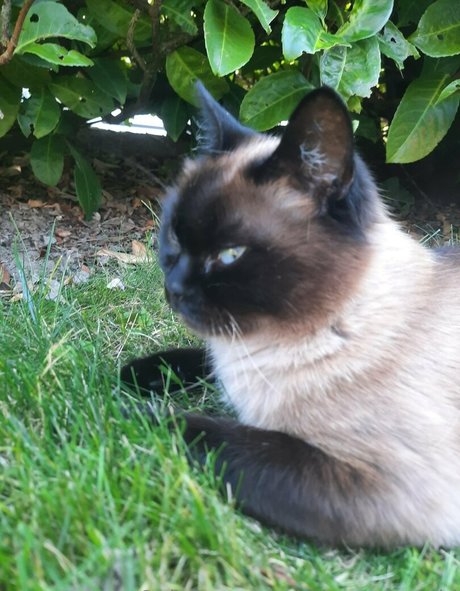 missmeismaid art actress gallery