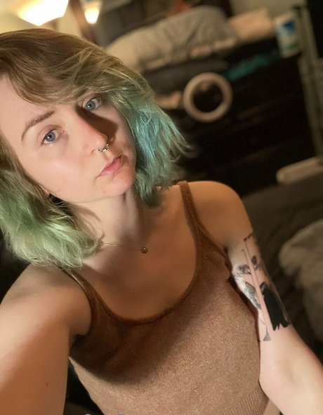 msc adventures hd star picture