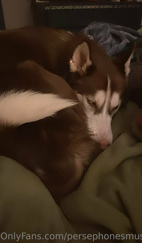 persephonesmuses high quality star pic