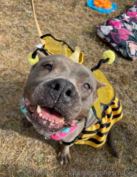 persephonesmuses xxx model pictures