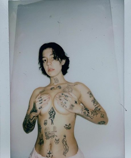 Velvetears best star gallery