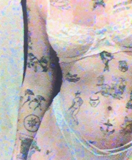 Velvetears pornstar beautiful archive