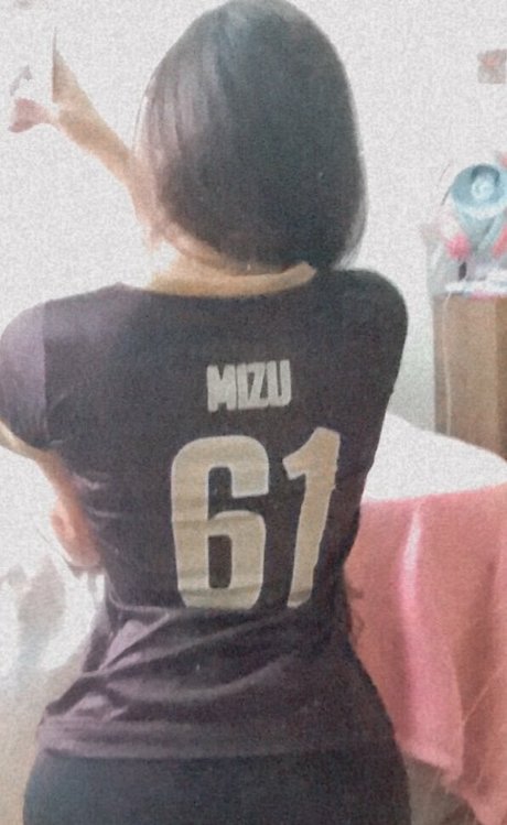 Mizuhart model top img