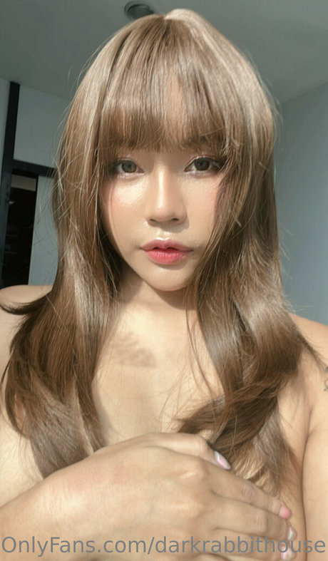 Darkrabbithouse beautiful pornstar gallery