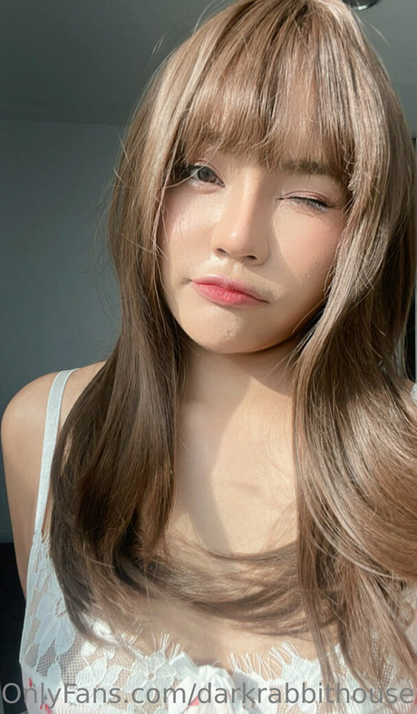 Darkrabbithouse high quality model img