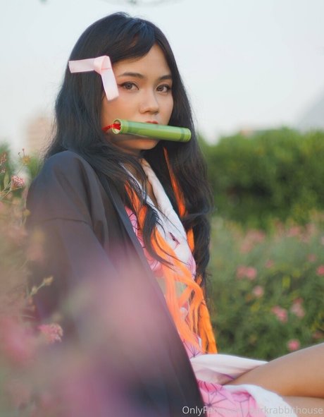 Darkrabbithouse nice star archive