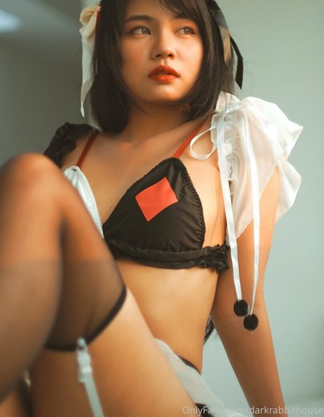 Darkrabbithouse pornstar art archive