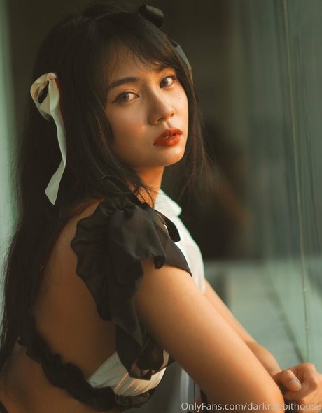 Darkrabbithouse model perfect archive