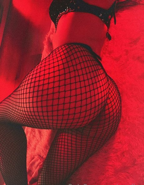 nordlys exclusive star pics