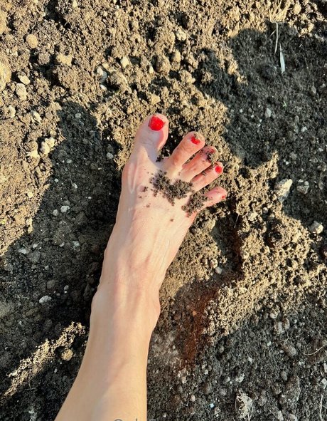 solesdreams nude pornstar pictures