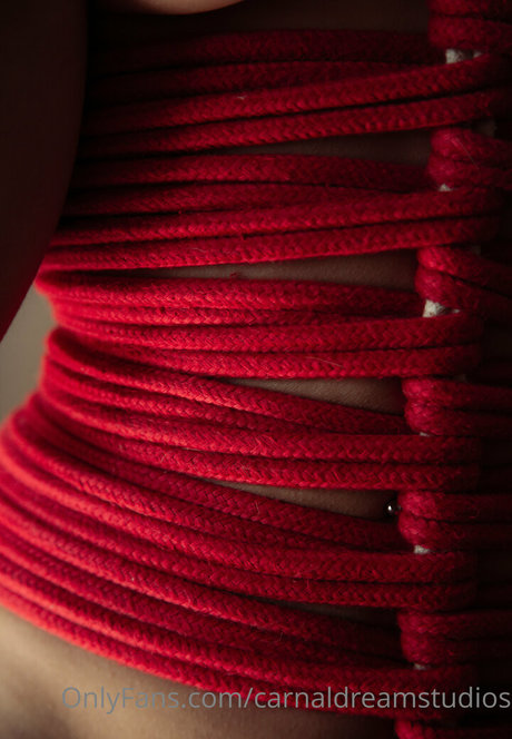 carnaldreamstudios pornstar adult pictures