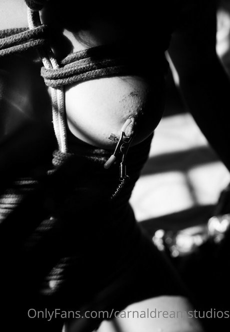 carnaldreamstudios star pornographic picture