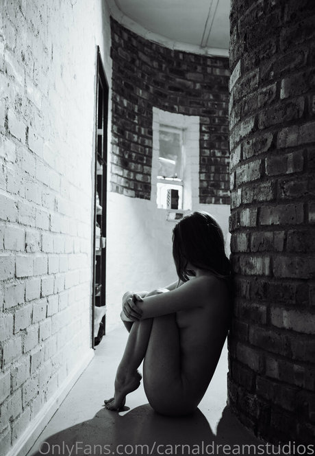 carnaldreamstudios pornstar hd gallery