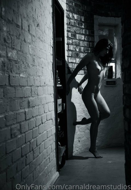 carnaldreamstudios star art image