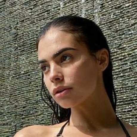 missvioletstarr exclusive pornstar img