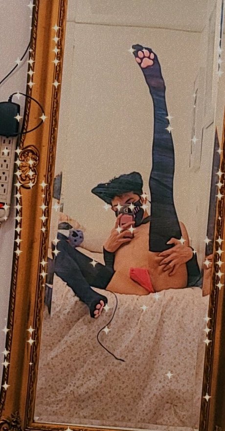 twinku star sex photos