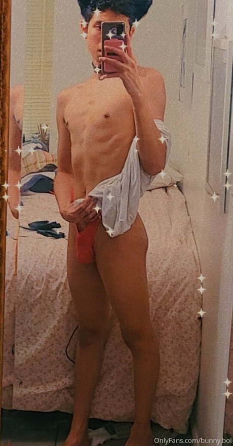 twinku star beautiful photo