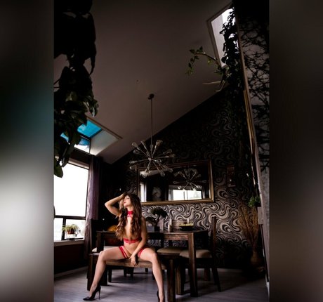 renegadephotography star art galleries