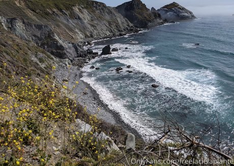 freelacielaplante pornstar naked pic