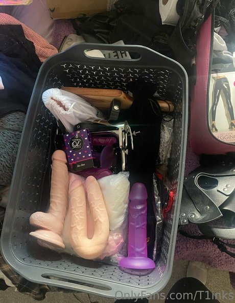 tinks 25 free high quality pornstar galleries