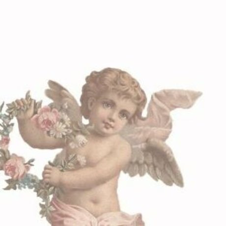 whenflowersbloom pornstar adult pics