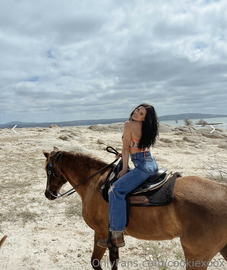 Bri Cookie erotic pornstar archive